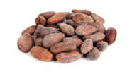 ORGANIC RAW CACAO BEANS